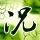 孤岛惊魂